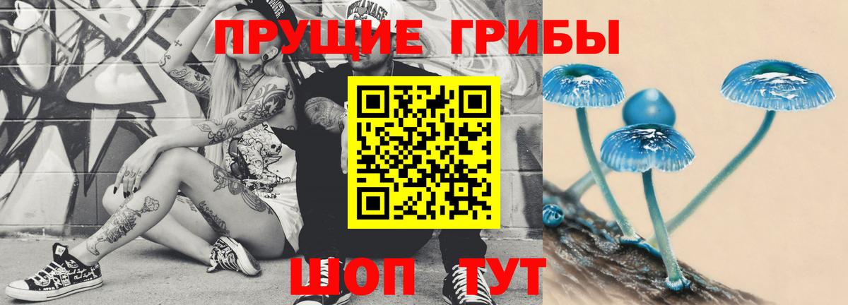 Архангельск  Галлюциногенные грибы ЛСД  Вход с VPN 